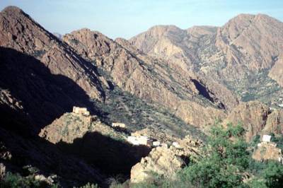 tanalt