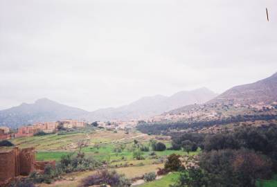 tanalt