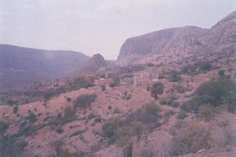tanalt