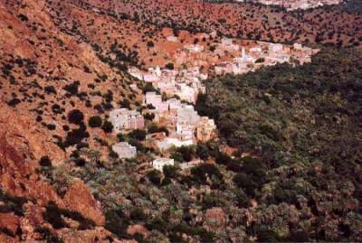 tanalt